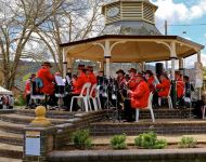 2 Tulip Time 2014