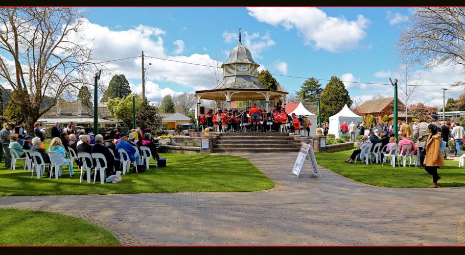 1 Tulip Time 2014