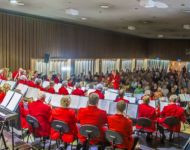 Bandandaudience,BowralMemorialHall 600x368